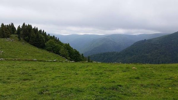 Où camper dans les Vosges?