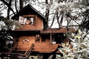 Un caban dans les arbres